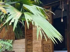 Ancestra black ecolodge