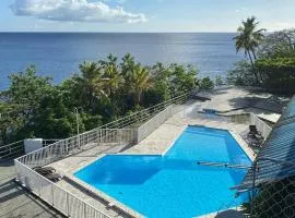 Bleu Caraibe studio