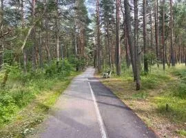 2 kambarių butas Dragūnų gatvėje