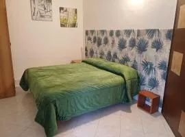 Confort home Maiorana