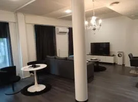 Salon Harlekiini