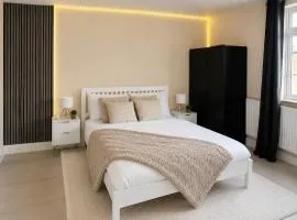 Modern Luxury Studio Apartment