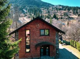 Cabana Vasc, hotel din Borsa