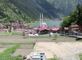 Tellioğlu ve Meriçoğlu Otel