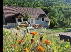 Hostel Sherifaj