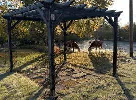 Escape to the land of cows