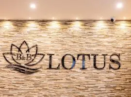 Lotus B&B