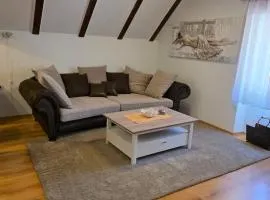 Apartman Gorski raj