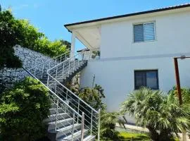 Selimi House