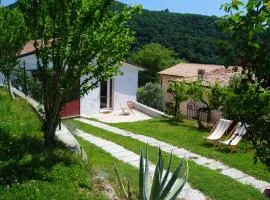 B&B Sottocolle