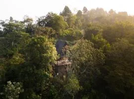 Mirador AFrame Cafetal, Vista en Comasagua