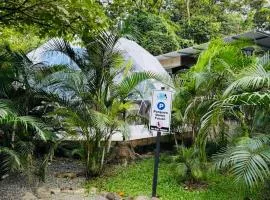 Tropical Escape Domes