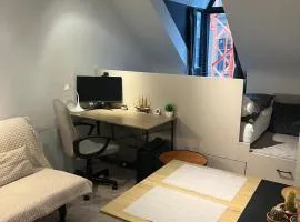 Business Executive Studio