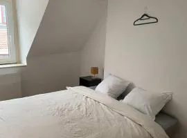 Appartement 3 Chambres Centre Orléans