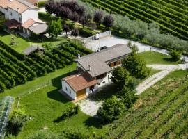 Charming House Among the Prosecco Hills & Olive Groves