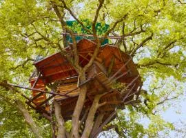 B&B La Cabane Insolite