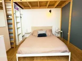 Appartement calme centre-ville Vichy 2-3 pers