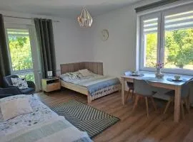 Apartament VERDE Malbork centrum