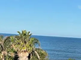 Stay Joy coastal