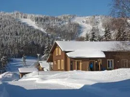 VILLA PUUSTILA (6 mh)
