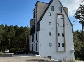 Apartmani Planinski Bor
