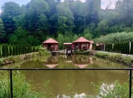 Oaza pod lasem - domki wypoczynkowe