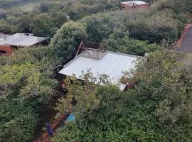 Hartbeest Bush Stay #5