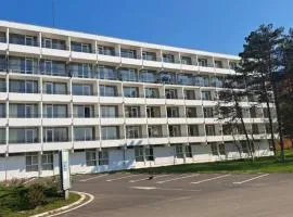 Hotel Mures