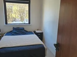 Small and cozy room
