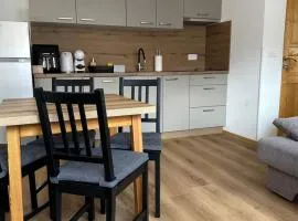 Apartmaji Anže Kranjska Gora