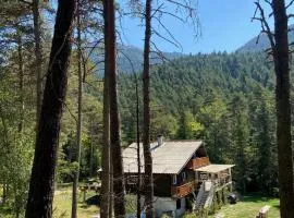 Chalet for 10 with the forest