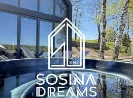 Sosina Dreams