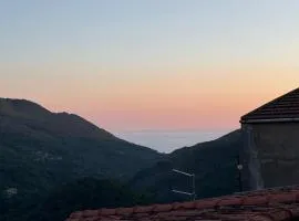 Lumira Vista Alto