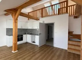 Central Loft Apartment Opava