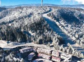 Arendo Ski - apartment in Grand Monastery Hotel