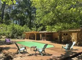 Cap Ferret Villa Grand Chalet Bois