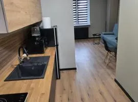Apartament w Leśnym Zaciszu