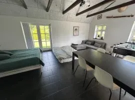 Large modern family room - “Arnely”