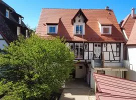 Historischer Pferdestall im Zentrum von Weißenburg mit 2 Parkplätzen, Terrasse und Balkon