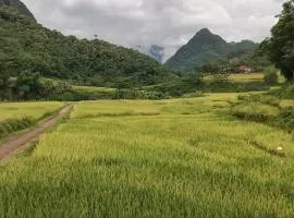 Homestay wiu ruộng bậc thang