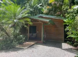 Forest Lodge
