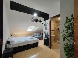 Habitación Centro Histórico Lugo- 3.1