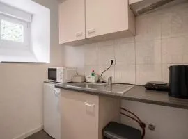 Spacieux Studio, Parking Privé, Maison de Maître, MULHOUSE Centre
