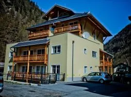 Residenz Zwieselstein App.11