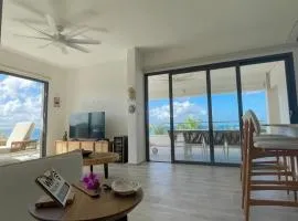 Penthouse In Tracadero Oceanfront Infinity Pool