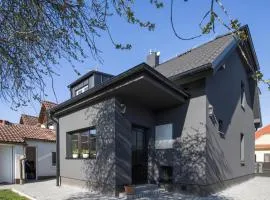 Stylish new "PLAYGROUND" flat with Bondage Cross & Private fitness in new family house
