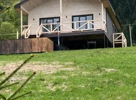 vaav house mistse syly