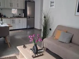 Elegance Apartments Mesologgi