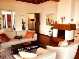 Large house with garden and lake view in Brissago