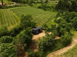 Reniteo - Parcel Tiny House - Tiny House dans le Roannais MAE-6603